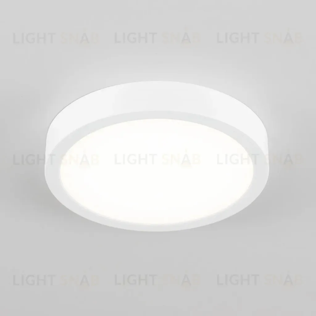 Накладной светильник Citilux Галс CL5522N CL5522N