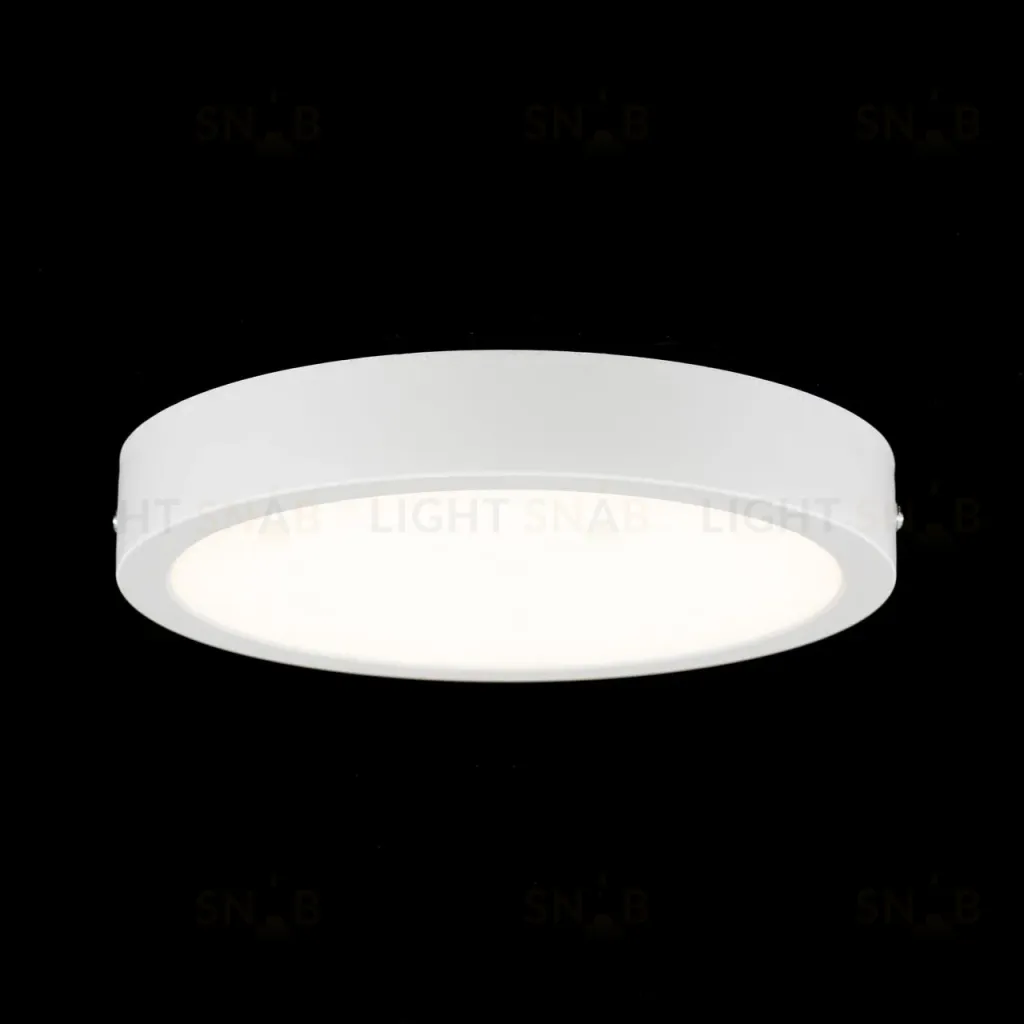 Накладной светильник Citilux Галс CL5522N CL5522N