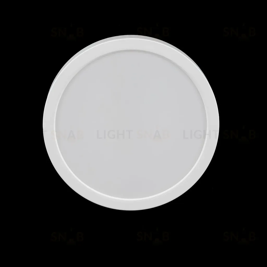 Накладной светильник Citilux Галс CL5522N CL5522N