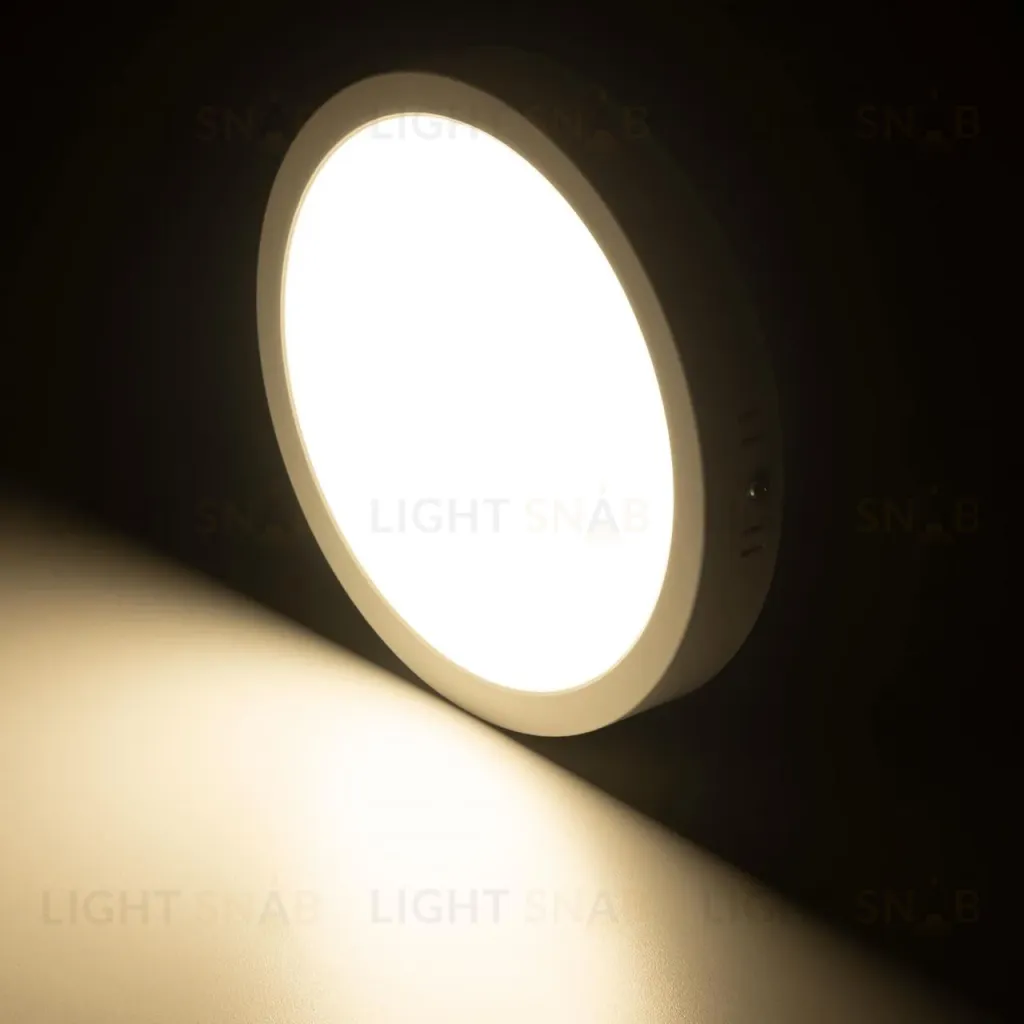 Накладной светильник Citilux Галс CL5522N CL5522N