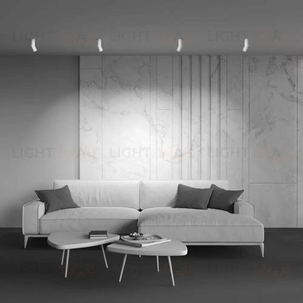 Накладной спот Maytoni Dafne C027CL-L10W4K C027CL-L10W4K