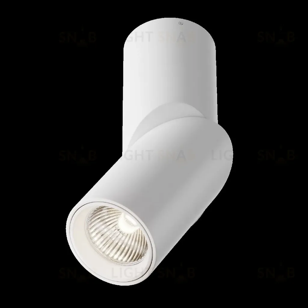 Накладной спот Maytoni Dafne C027CL-L10W4K C027CL-L10W4K