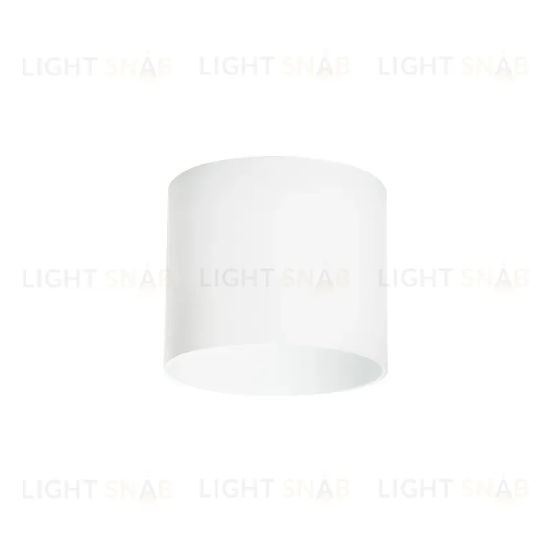 Накладной светильник Lightstar Rullo 213486 213486