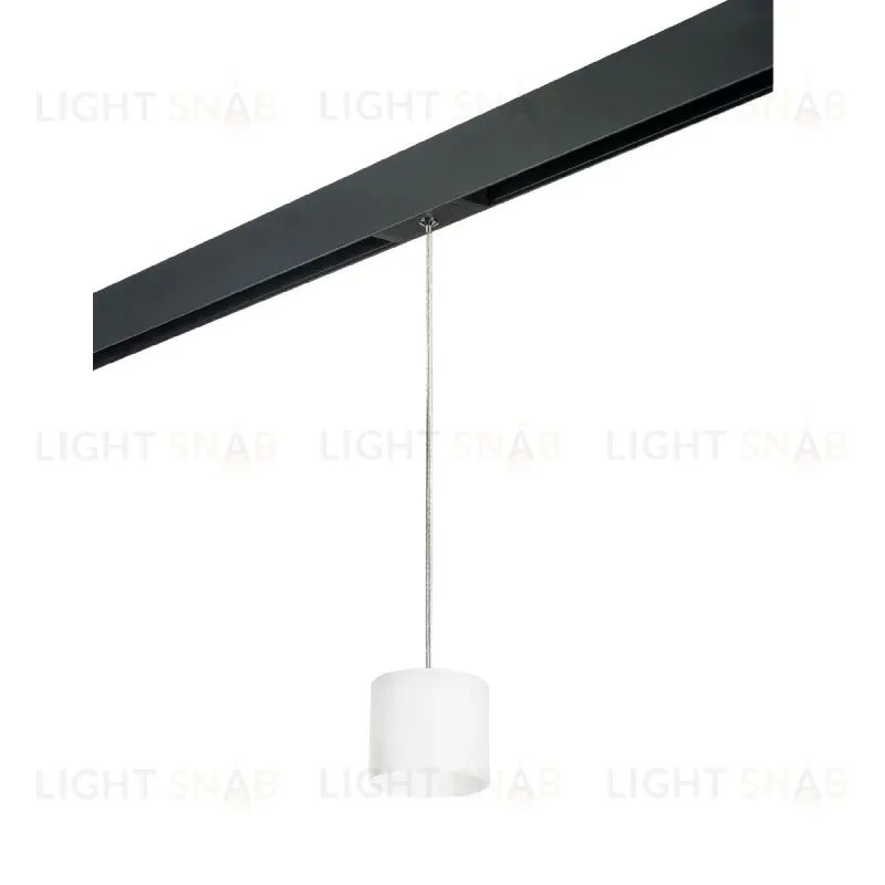 Трековый однофазный светильник Lightstar Rullo (213486+595887) PRORP3486 PRORP3486