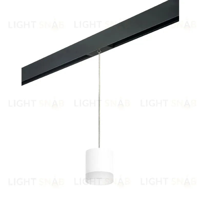 Трековый однофазный светильник Lightstar Rullo (213486+595887+202480) PRORP348680 PRORP348680