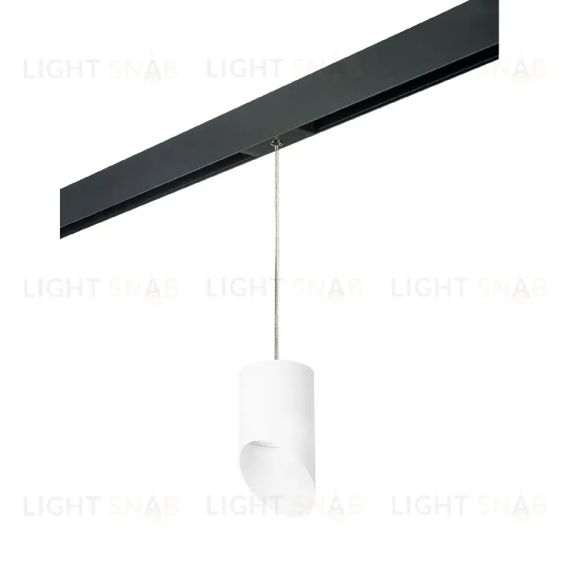 Трековый однофазный светильник Lightstar Rullo (213486+595887+201486) PRORP348686 PRORP348686