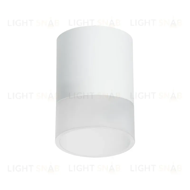 Накладной светильник Lightstar Rullo (213486+202481) R348681 R348681