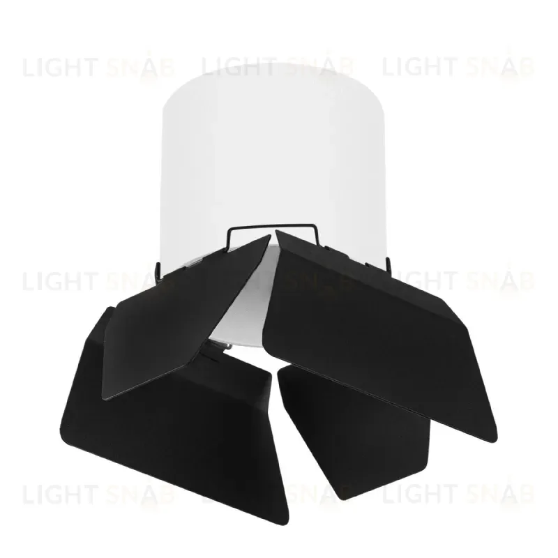 Накладной светильник Lightstar Rullo (213486+202487) R3486487 R3486487