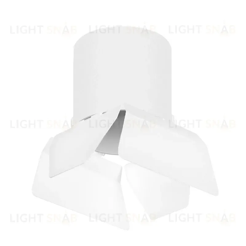 Накладной светильник Lightstar Rullo (213486+202486) R3486486 R3486486