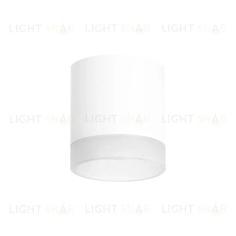 Накладной светильник Lightstar Rullo (213486+202480) R348680 R348680