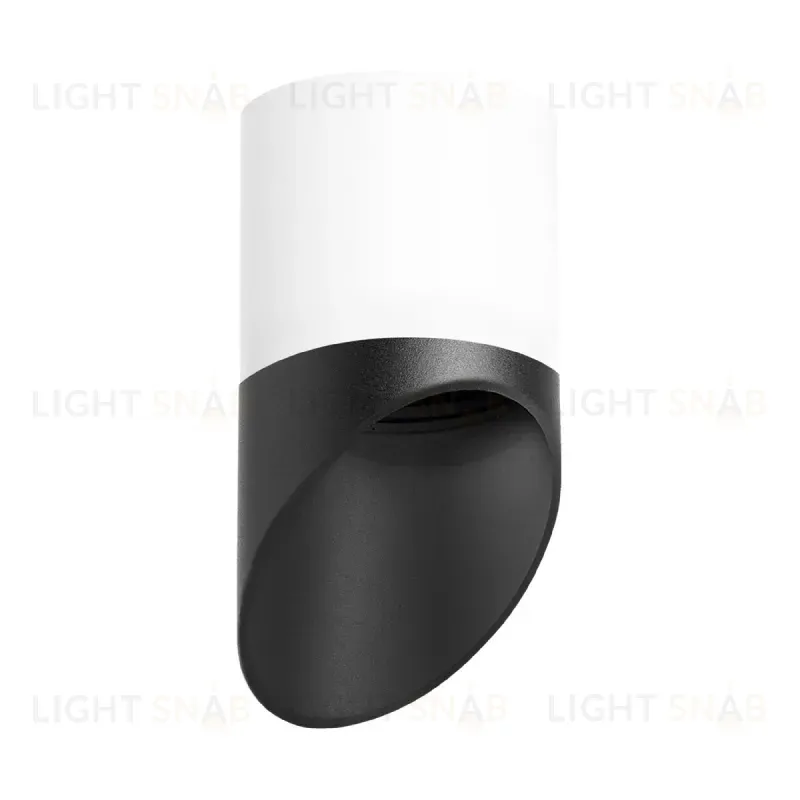 Накладной светильник Lightstar Rullo (213486+201487) R348687 R348687