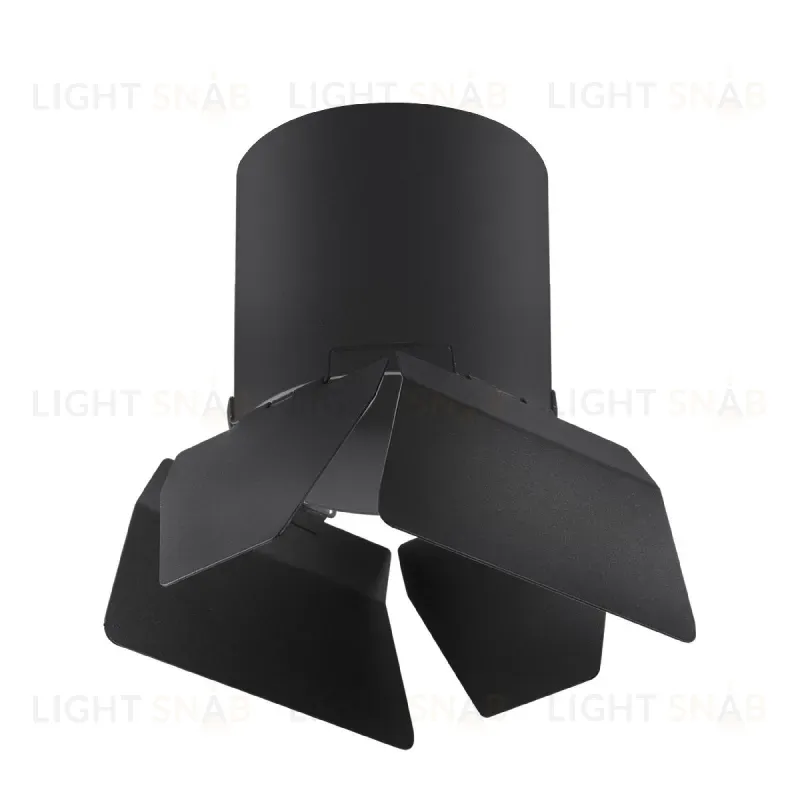 Накладной светильник Lightstar Rullo (213487+202487) R3487487 R3487487