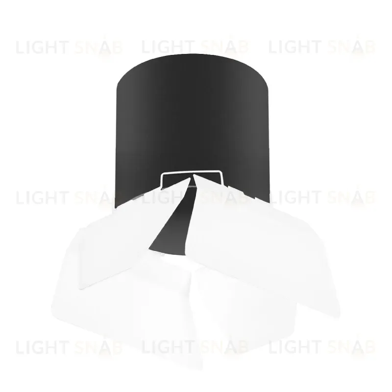 Накладной светильник Lightstar Rullo (213487+202486) R3487486 R3487486