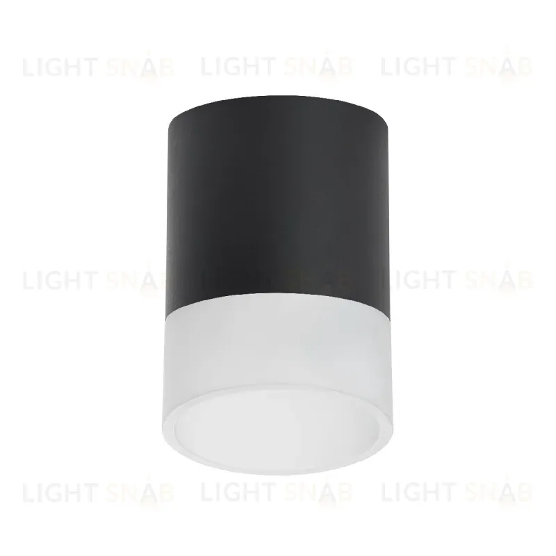 Накладной светильник Lightstar Rullo (213487+202481) R348781 R348781
