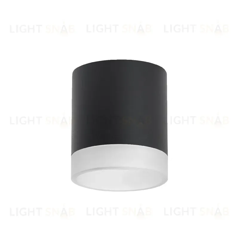Накладной светильник Lightstar Rullo (213487+202480) R348780 R348780