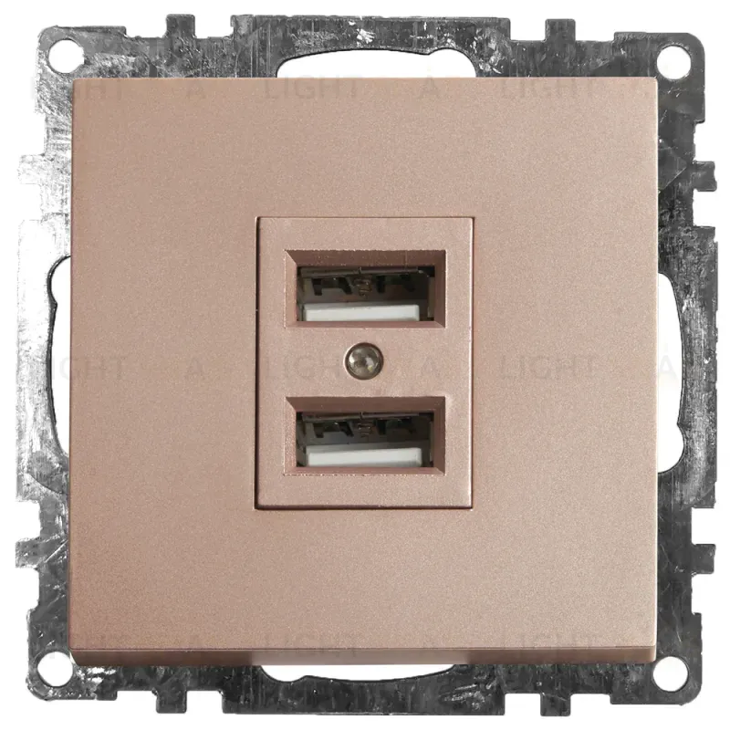 Розетка USB 2-местная Stekker Катрин 39602 39602
