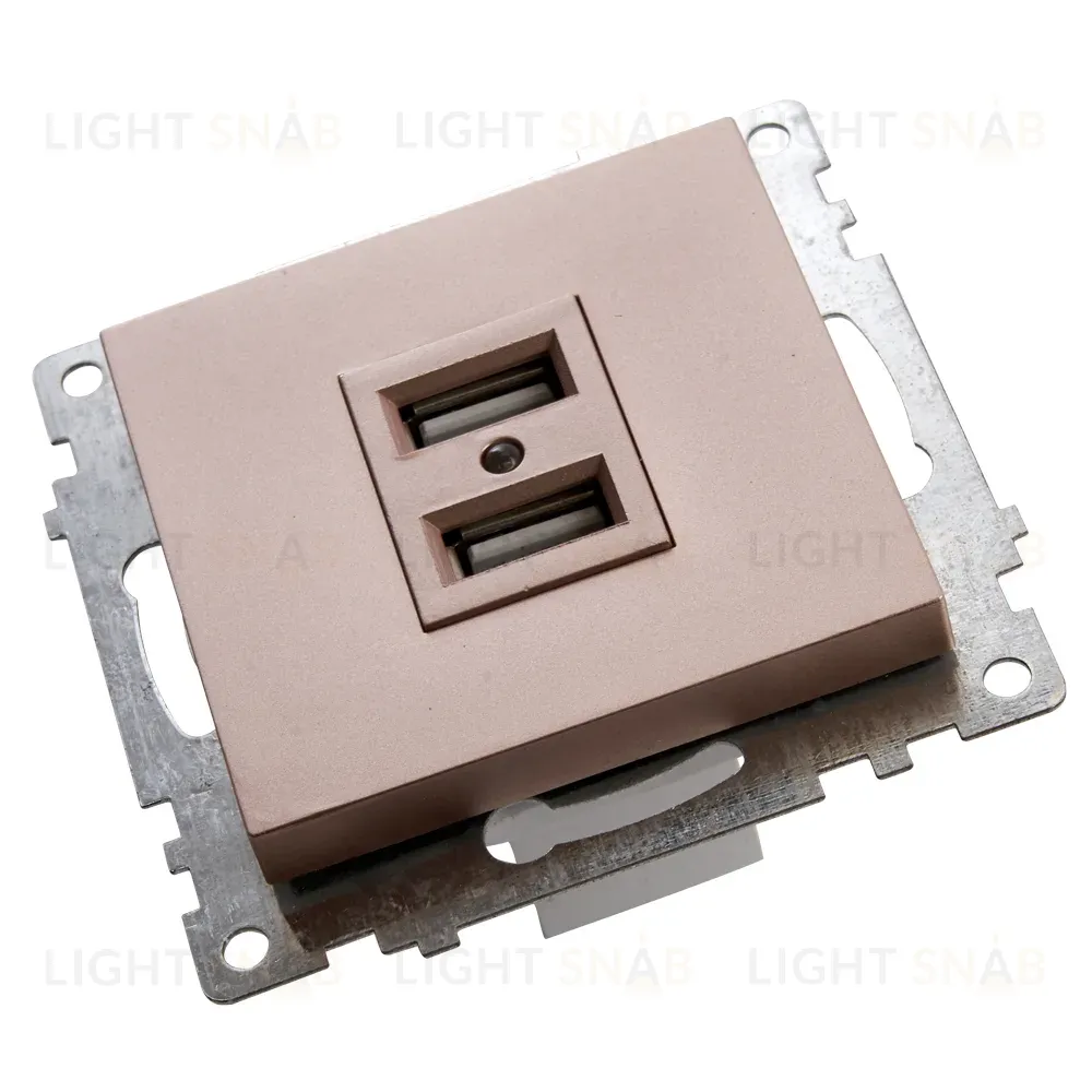 Розетка USB 2-местная Stekker Катрин 39602 39602