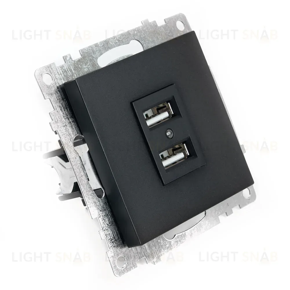 Розетка USB 2-местная Stekker Катрин 39616 39616