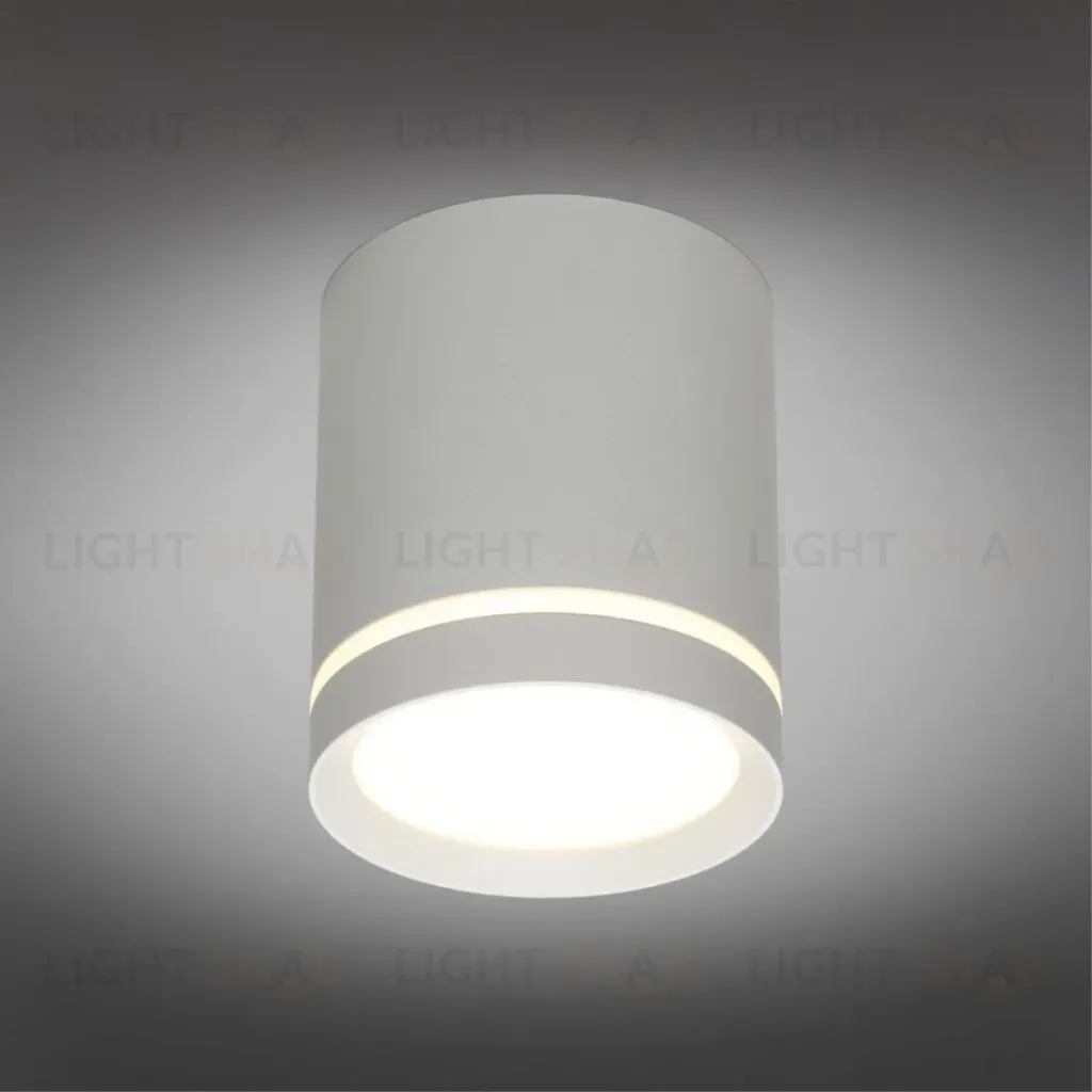Накладной светильник Omnilux Capurso OML-102429-05 OML-102429-05