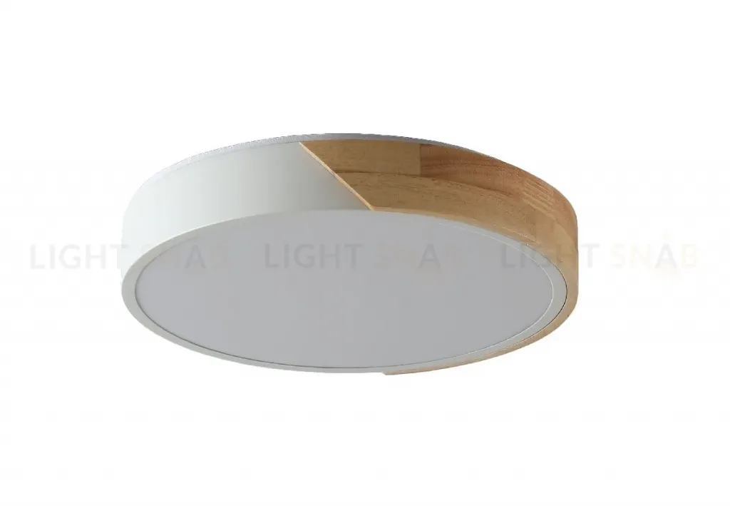 Потолочный светильник Zortes Alberro ZRS.01239.90 ZRS.01239.90