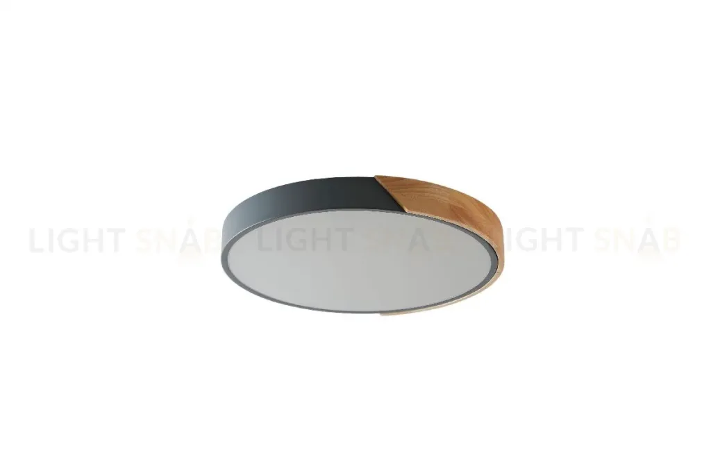 Потолочный светильник Zortes Alberro ZRS.01280.90 ZRS.01280.90