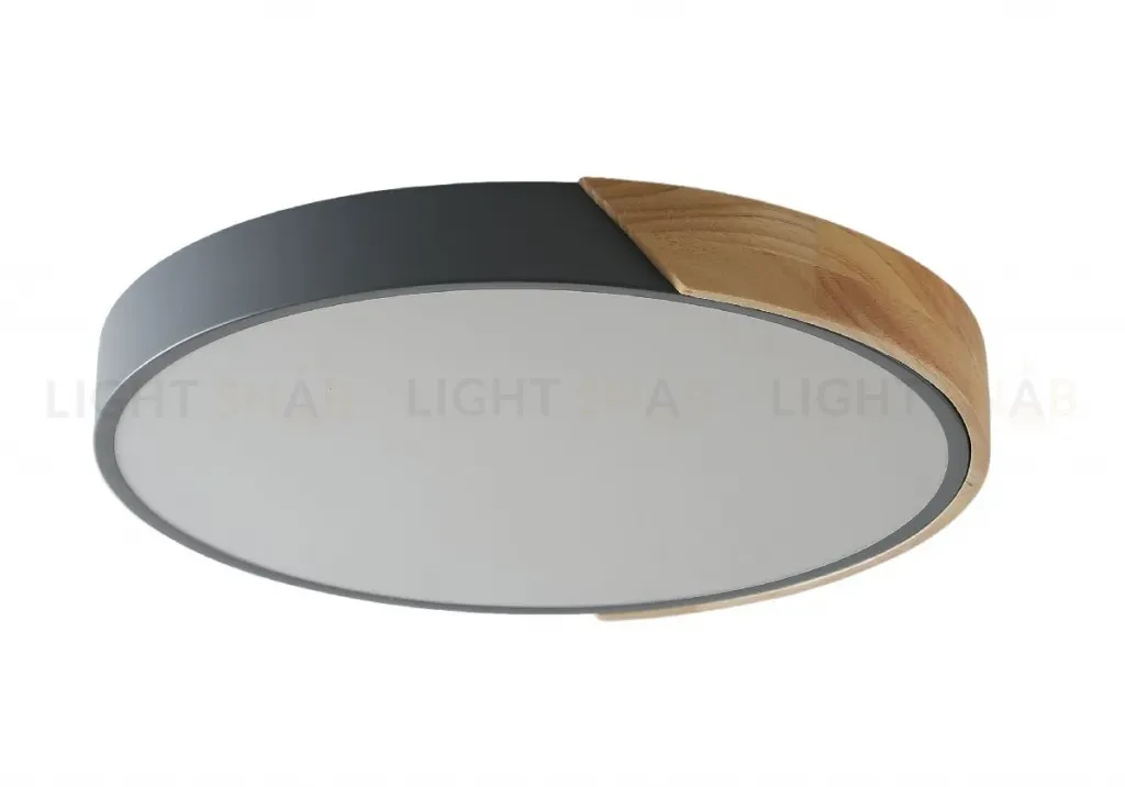 Потолочный светильник Zortes Alberro ZRS.01280.90 ZRS.01280.90