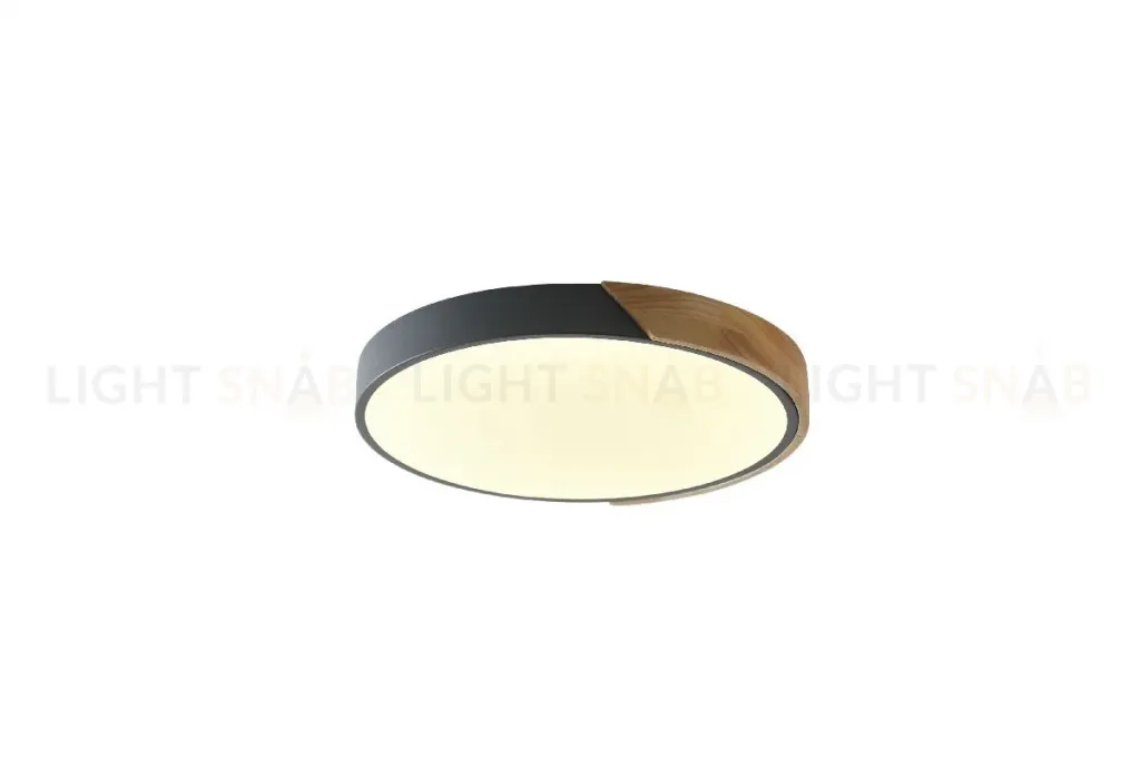 Потолочный светильник Zortes Alberro ZRS.01280.90 ZRS.01280.90
