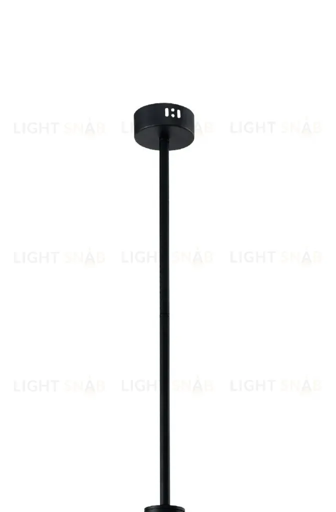 Подвесной светильник Zortes Prugel ZRS.57789.19 ZRS.57789.19