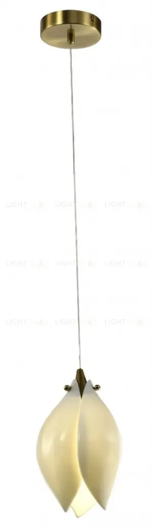 Подвесной светильник Zortes Dalin ZRS.90609.01 ZRS.90609.01