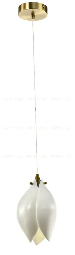 Подвесной светильник Zortes Dalin ZRS.90609.01 ZRS.90609.01