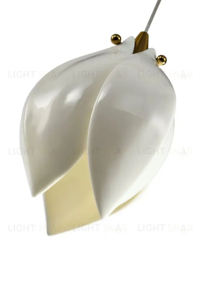 Подвесной светильник Zortes Dalin ZRS.90609.01 ZRS.90609.01