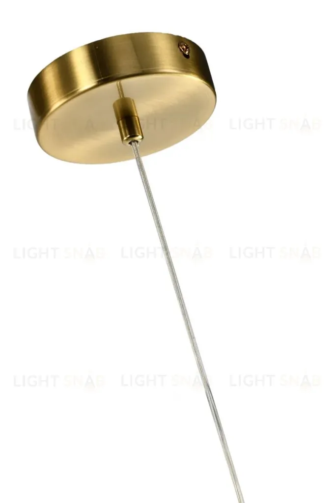 Подвесной светильник Zortes Dalin ZRS.90609.01 ZRS.90609.01