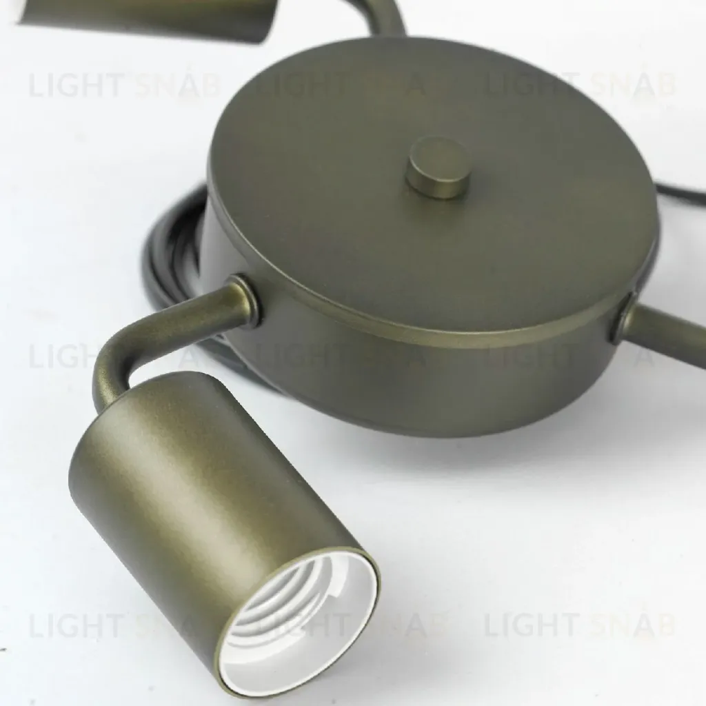 Потолочная люстра Lussole Fremont LSP-8814 LSP-8814