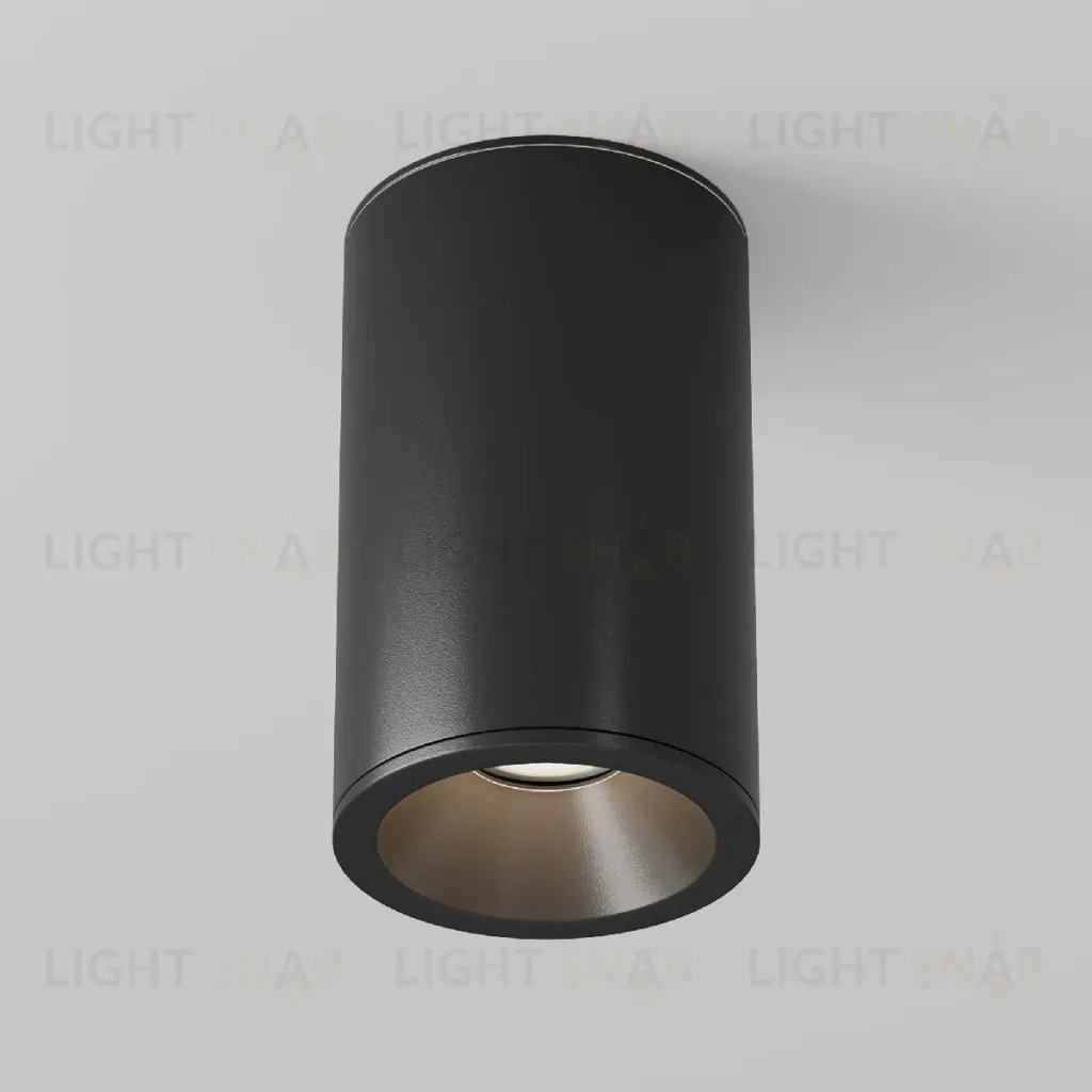 Накладной светильник Maytoni Zoom C029CL-01-S-B C029CL-01-S-B