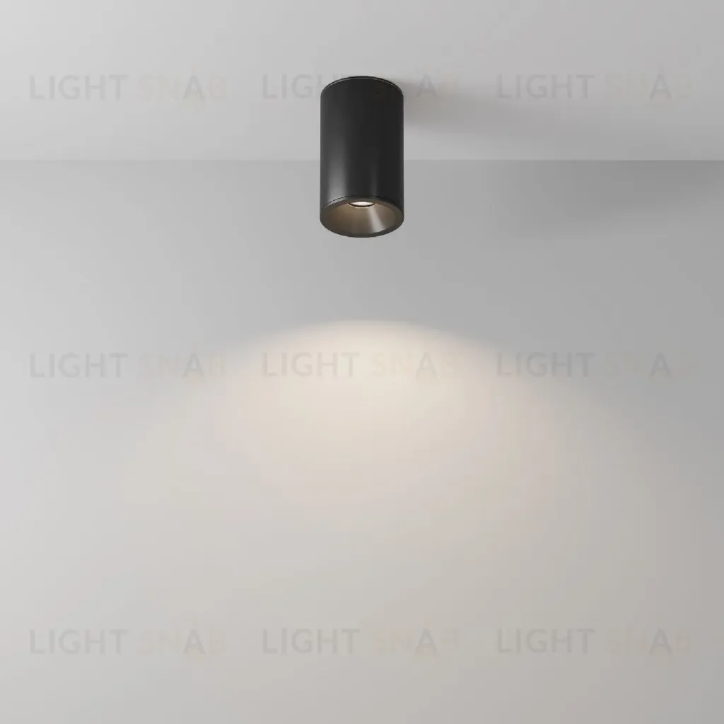 Накладной светильник Maytoni Zoom C029CL-01-S-B C029CL-01-S-B