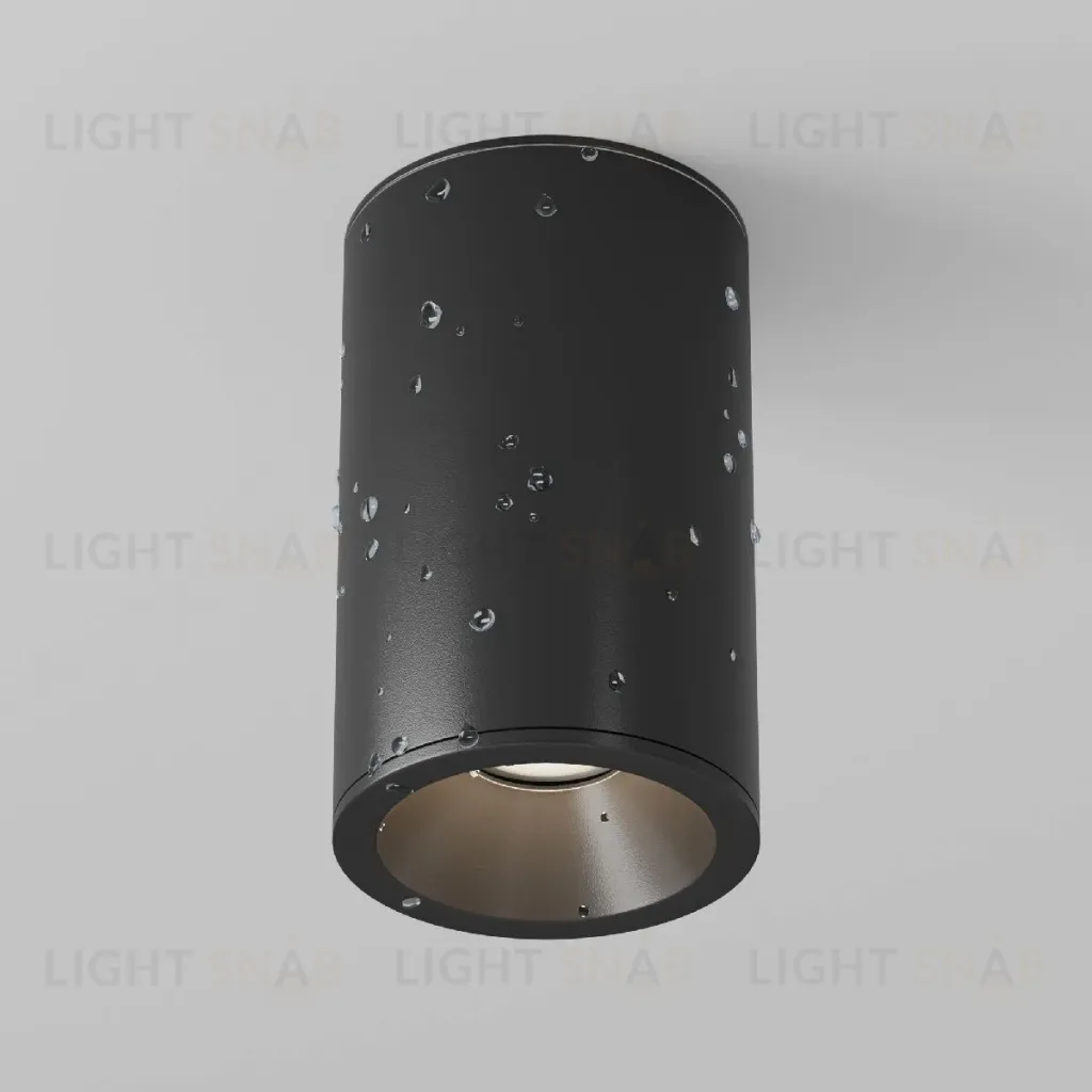 Накладной светильник Maytoni Zoom C029CL-01-S-B C029CL-01-S-B