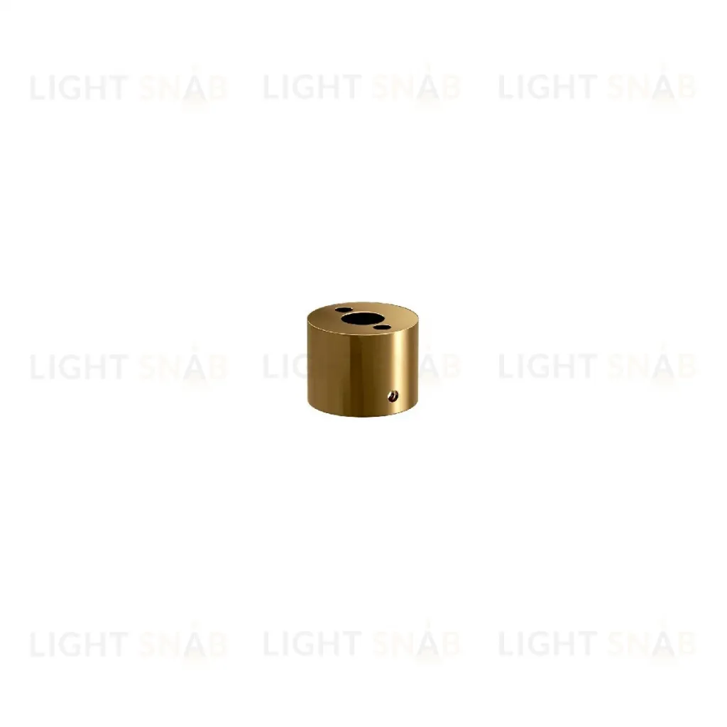 Крепления для гибкого неона Elektrostandard Full light FL 2820 латунь 4690389195983 a063436 4690389195983