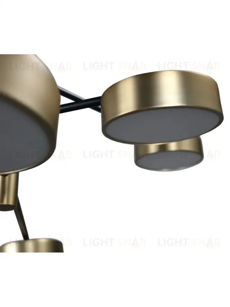 Люстра на штанге Zortes Lunar ZRS.01243.08 ZRS.01243.08