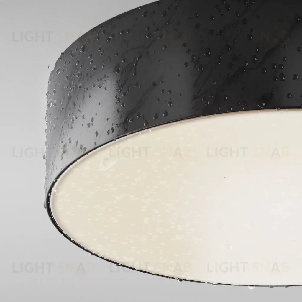 Уличный потолочный светильник Maytoni Zon IP O431CL-L30B4K O431CL-L30B4K