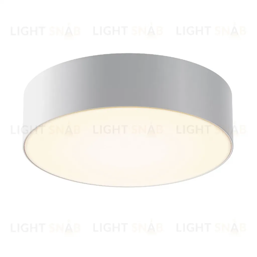 Уличный потолочный светильник Maytoni Zon IP O431CL-L30W3K O431CL-L30W3K