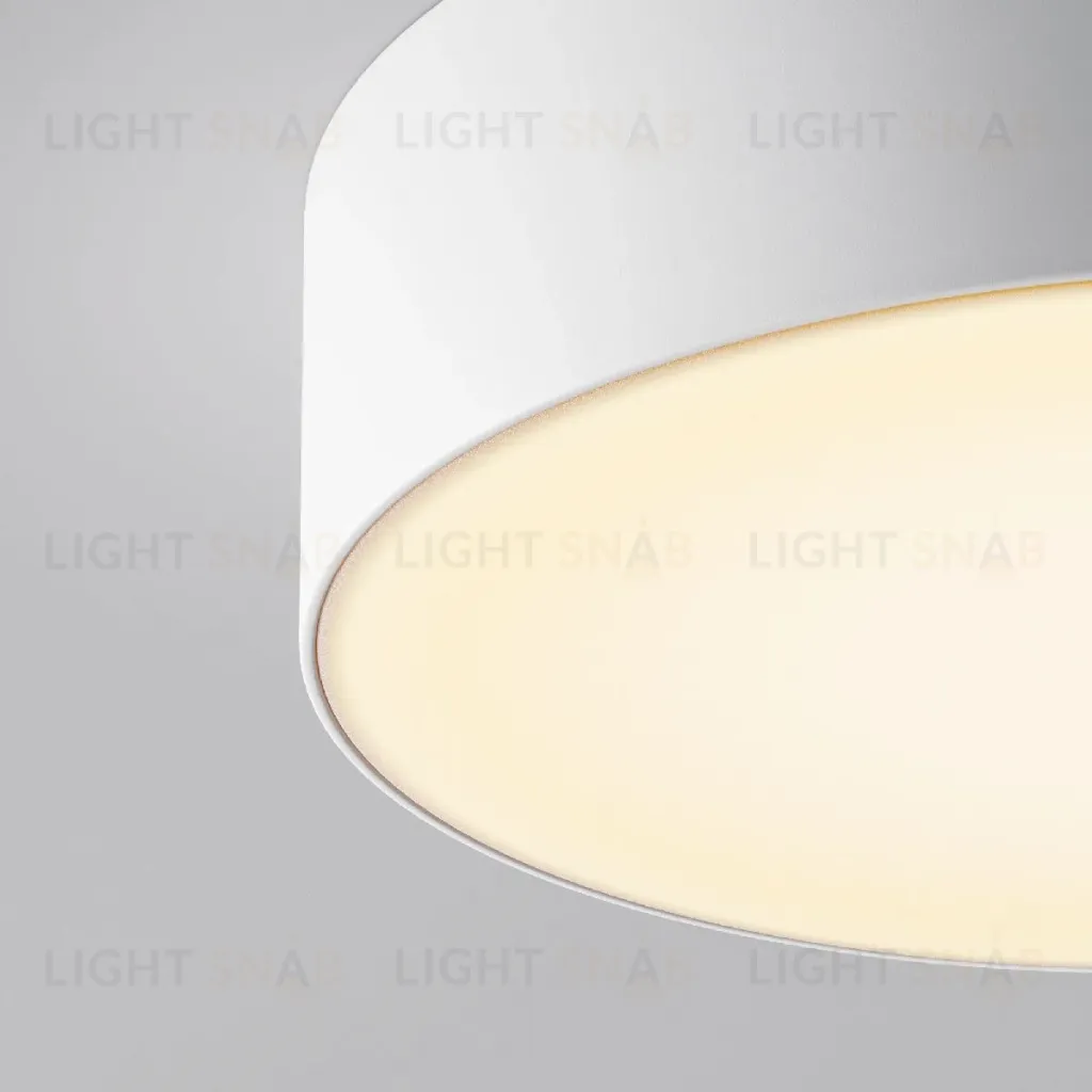 Уличный потолочный светильник Maytoni Zon IP O431CL-L30W3K O431CL-L30W3K