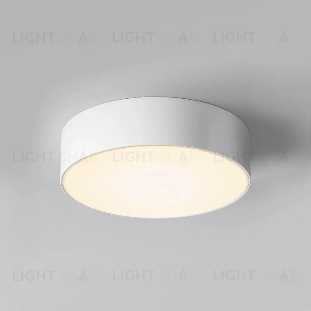Уличный потолочный светильник Maytoni Zon IP O431CL-L30W4K O431CL-L30W4K