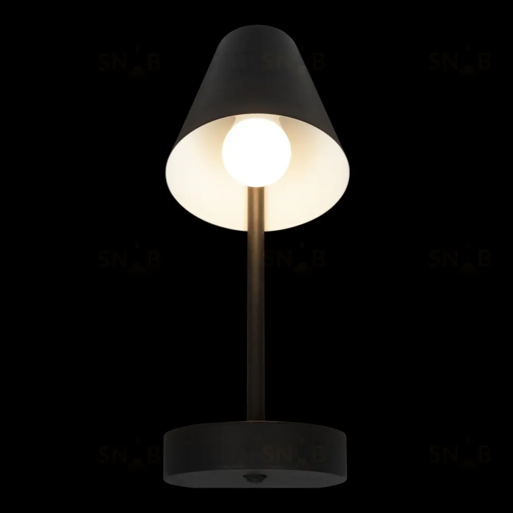 Бра Loft IT Shelf 10216/1W Black 10216/1W Black