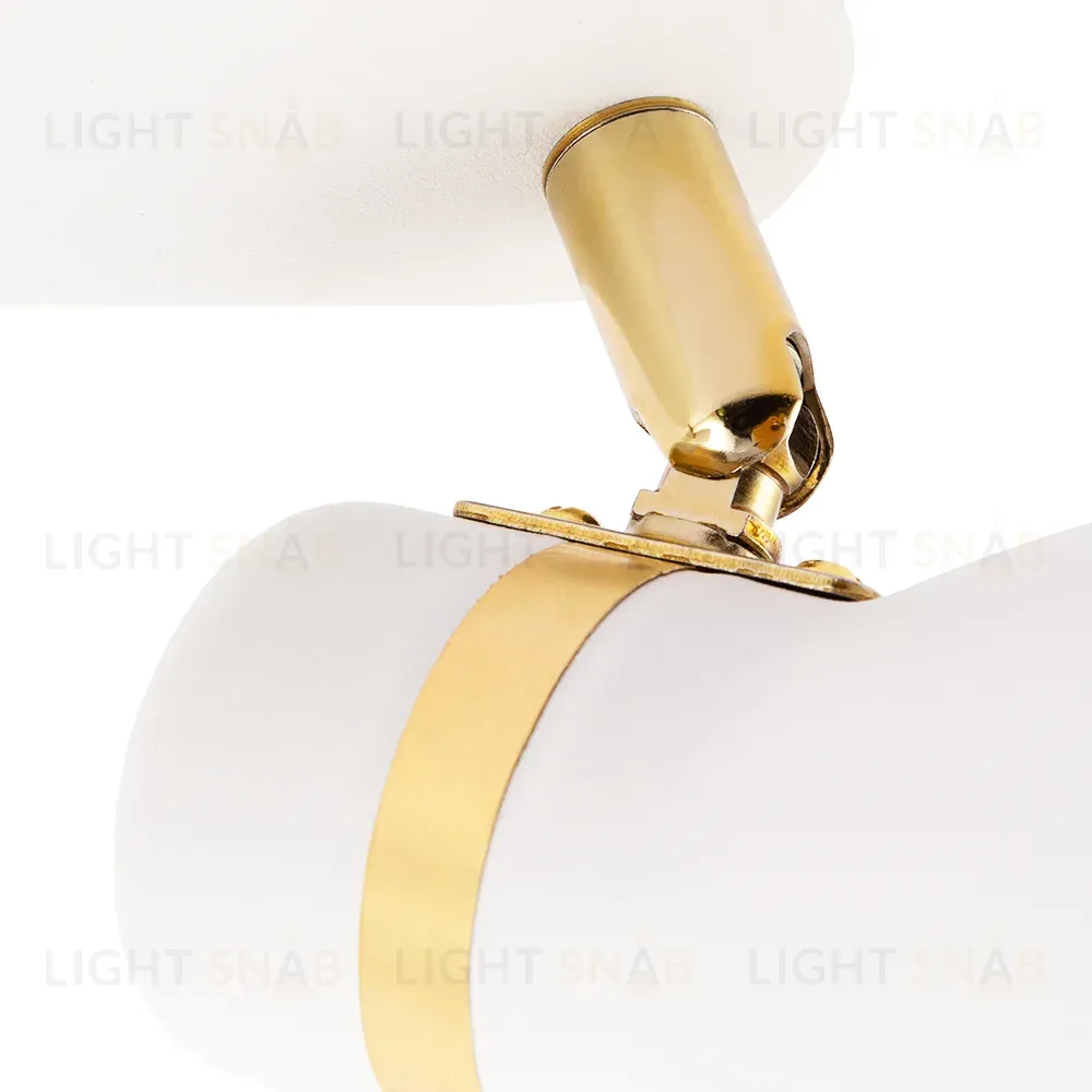 Спот Arte Lamp Fafnir A5047PL-2WH A5047PL-2WH