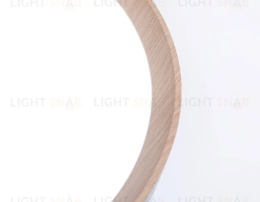 Потолочный светильник Ambrella Light Orbital Design FZ1320 FZ1320