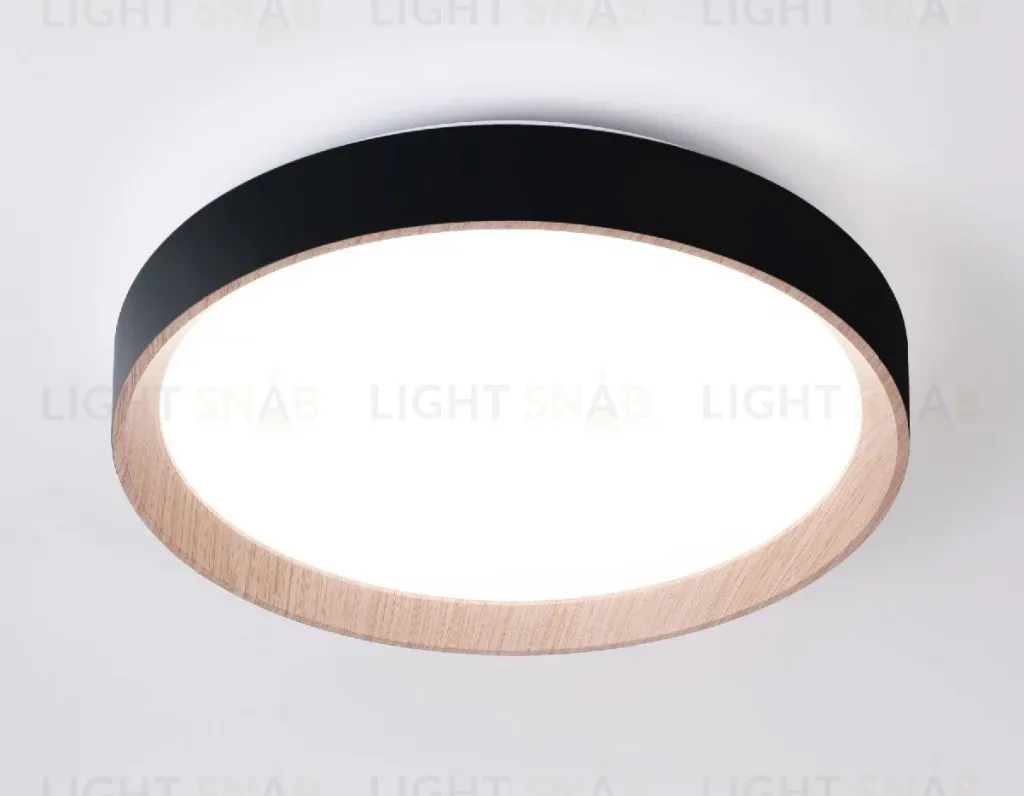 Потолочный светильник Ambrella Light Orbital Design FZ1324 FZ1324