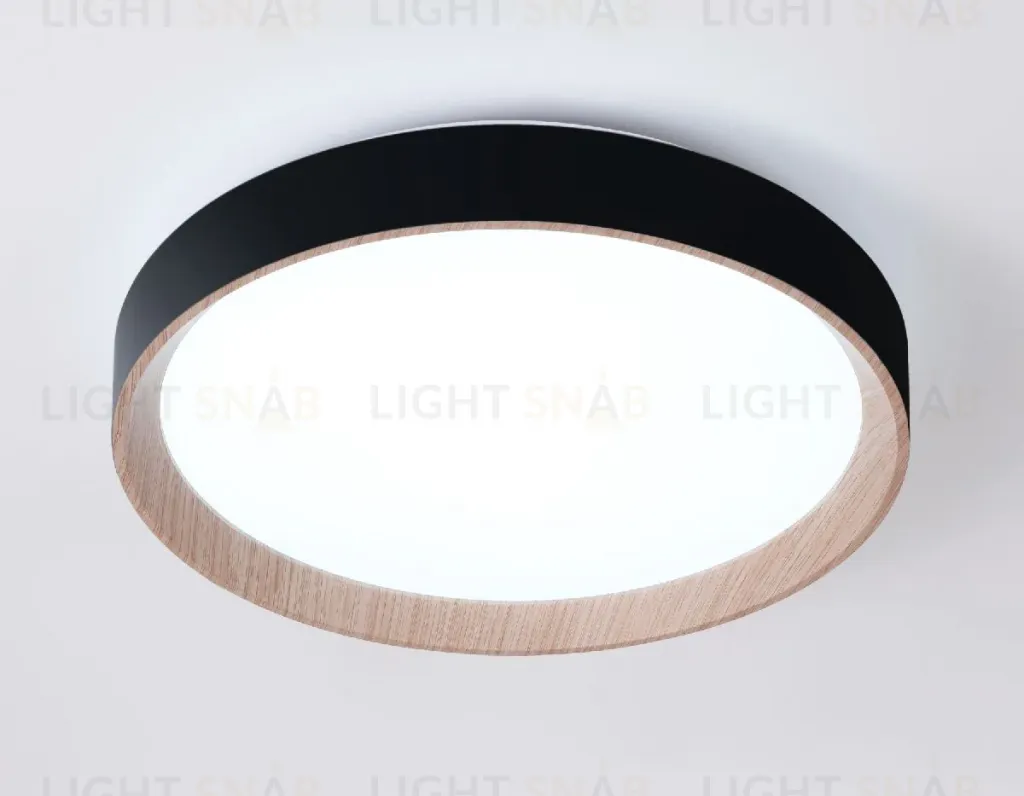 Потолочный светильник Ambrella Light Orbital Design FZ1324 FZ1324