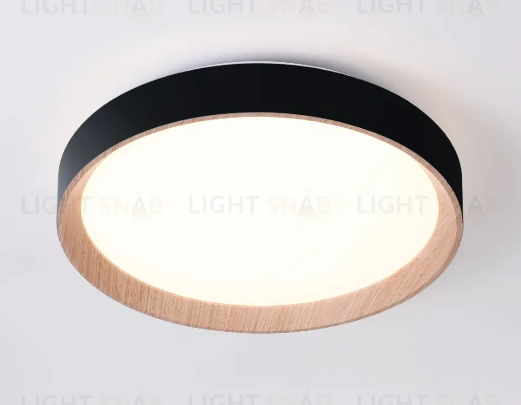 Потолочный светильник Ambrella Light Orbital Design FZ1324 FZ1324