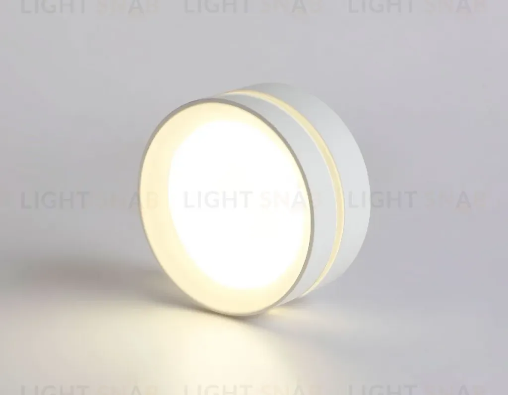 Накладной светильник Ambrella Light IP Protect TN5391 TN5391