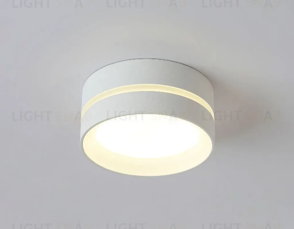Накладной светильник Ambrella Light IP Protect TN5391 TN5391